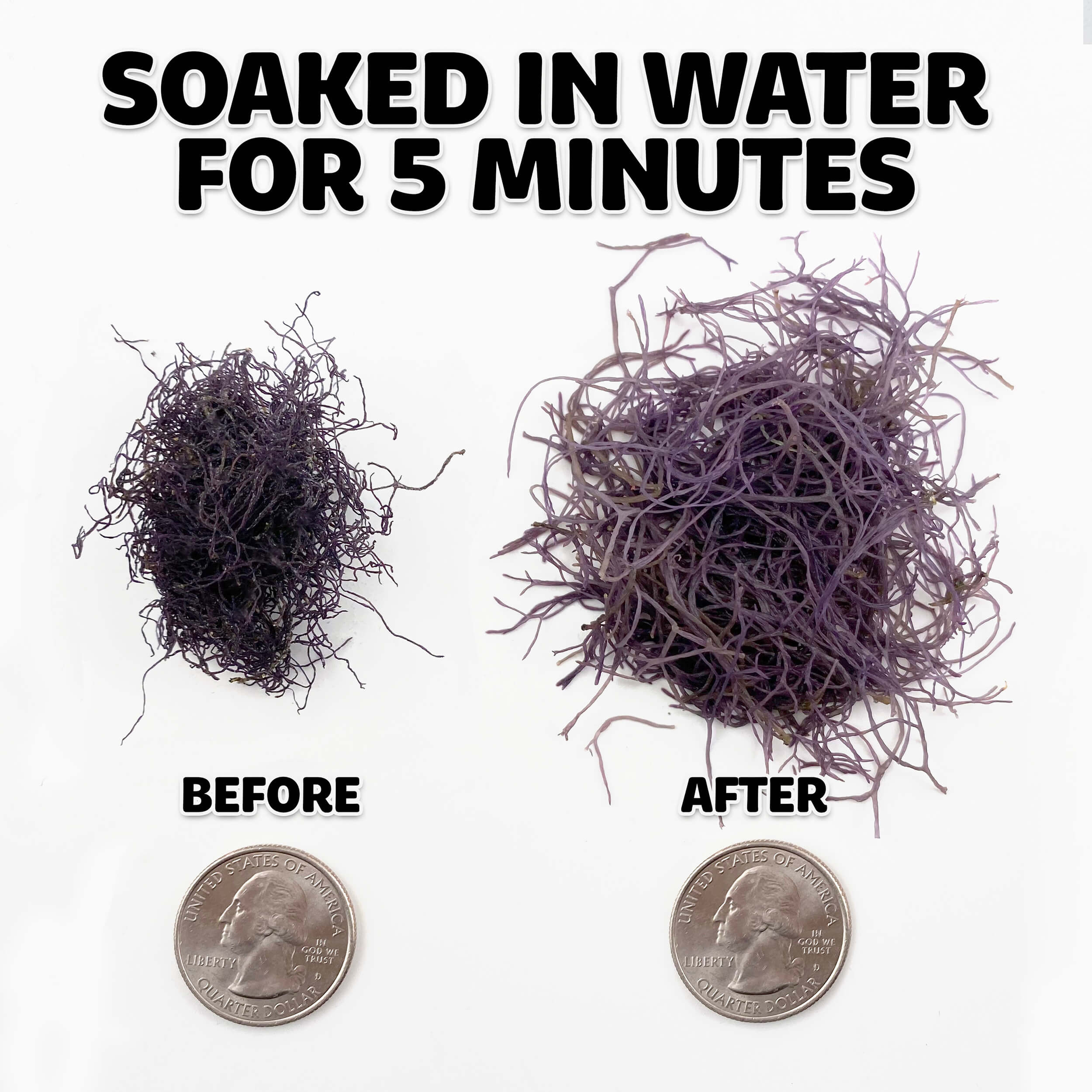 Ogo seaweed deals